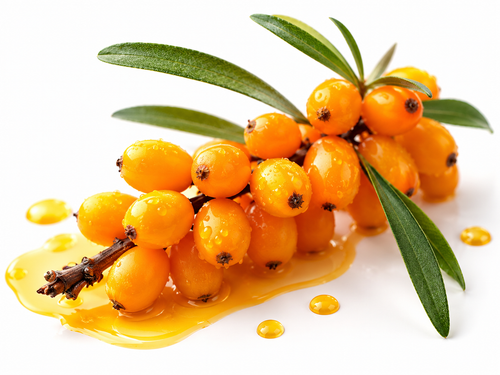 Sea Buckthorn